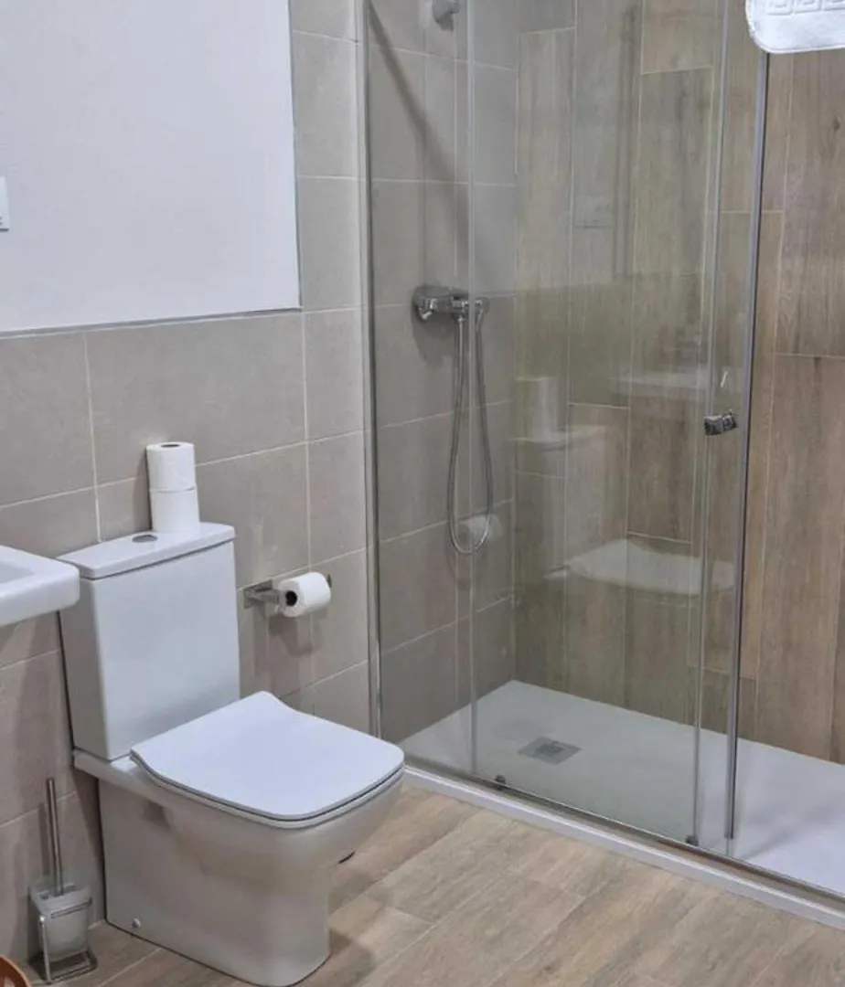 T5 Apartamento En Toledo Centro